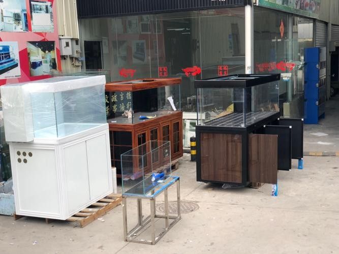 羅定開水族店怎么樣？加盟祥龍魚場賣龍魚市場怎樣？ 羅定開水族店怎么樣？加盟祥龍魚場賣龍魚市場怎樣？ 水族館百科（水族館加盟） 第3張