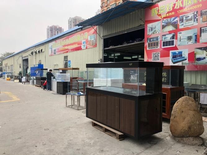 羅定開水族店怎么樣？加盟祥龍魚場賣龍魚市場怎樣？ 羅定開水族店怎么樣？加盟祥龍魚場賣龍魚市場怎樣？ 水族館百科（水族館加盟） 第2張