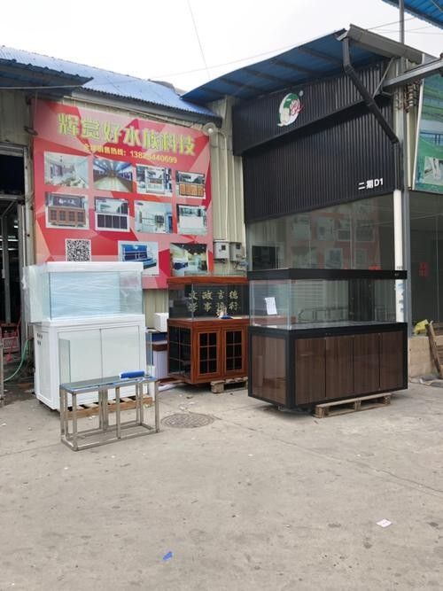 羅定開水族店怎么樣？加盟祥龍魚場賣龍魚市場怎樣？ 羅定開水族店怎么樣？加盟祥龍魚場賣龍魚市場怎樣？ 水族館百科（水族館加盟） 第1張