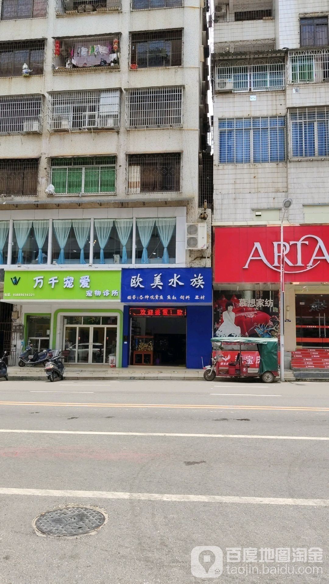 仙居開水族店怎么樣？加盟祥龍魚場賣龍魚市場怎樣？ 仙居開水族店怎么樣？加盟祥龍魚場賣龍魚市場怎樣？ 水族館百科（水族館加盟） 第3張