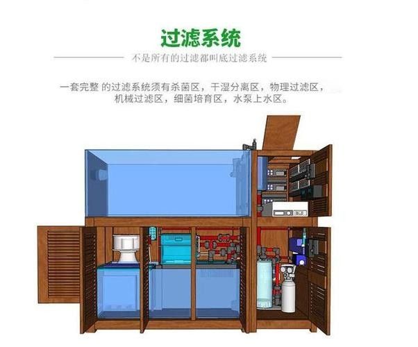 龍魚的正確飼養方法圖解