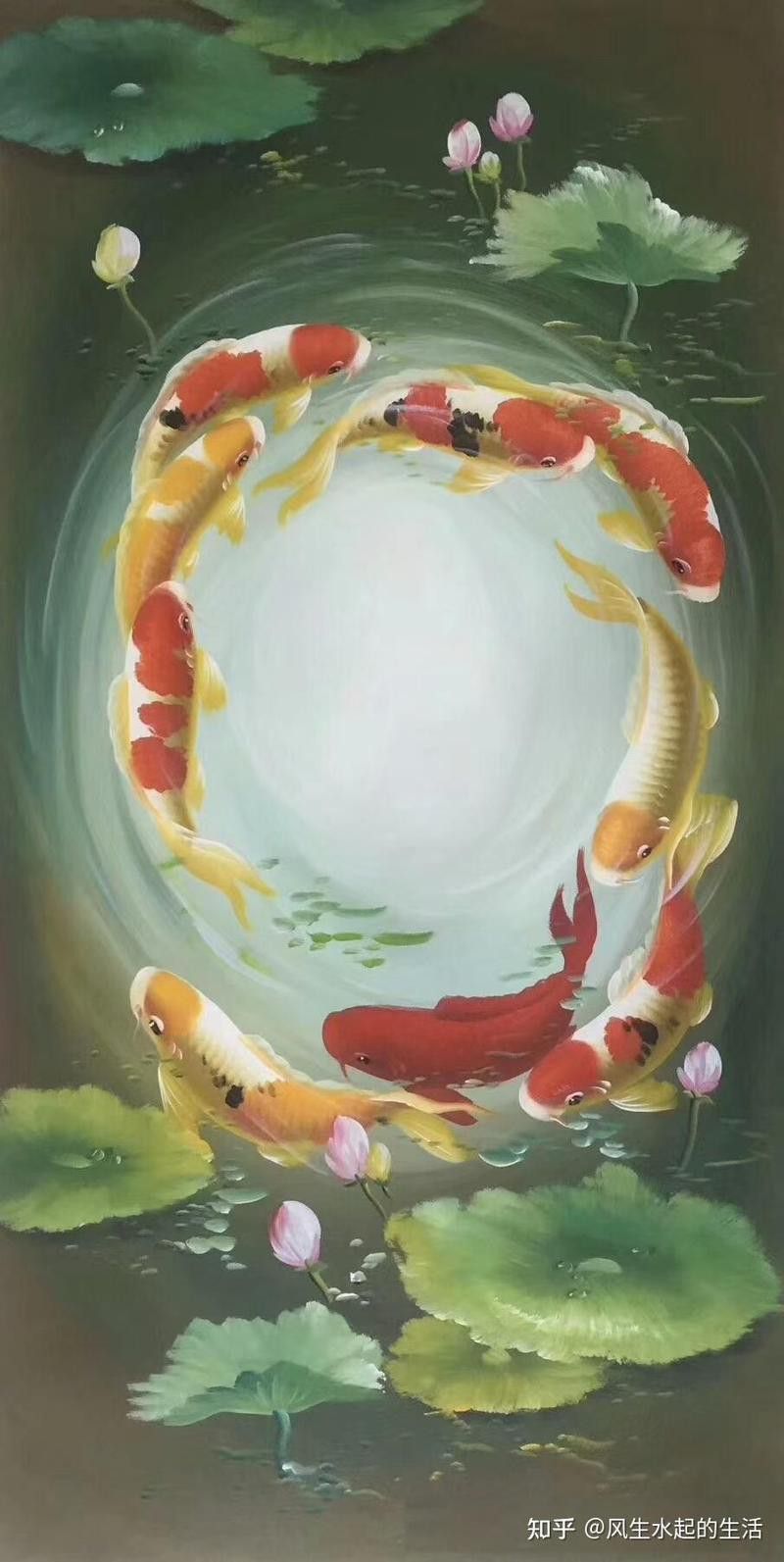 紅福龍魚圖片