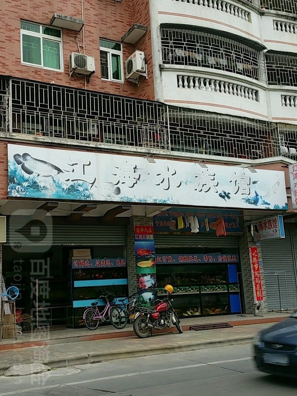 龍門開水族店怎么樣？加盟祥龍魚場賣龍魚市場怎樣？