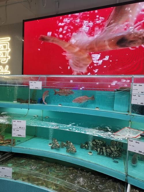 萬榮開水族店怎么樣？加盟祥龍魚場賣龍魚市場怎樣？