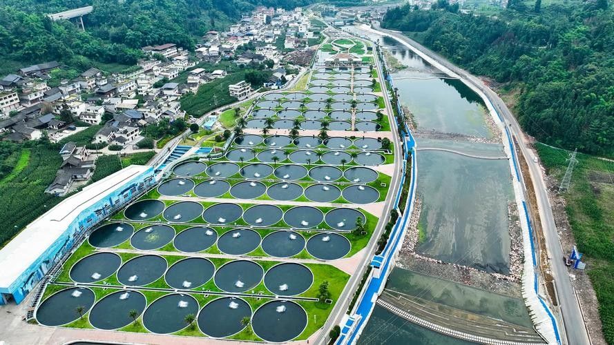 雅安開水族店怎么樣？加盟祥龍魚場賣龍魚市場怎樣？