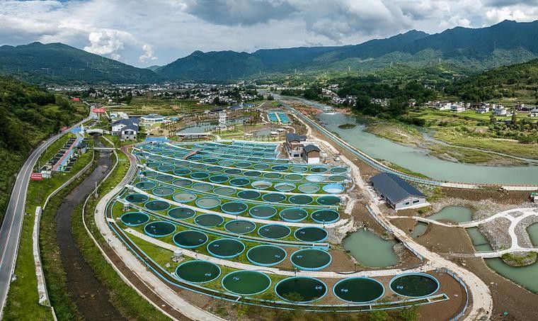 雅安開水族店怎么樣？加盟祥龍魚場賣龍魚市場怎樣？