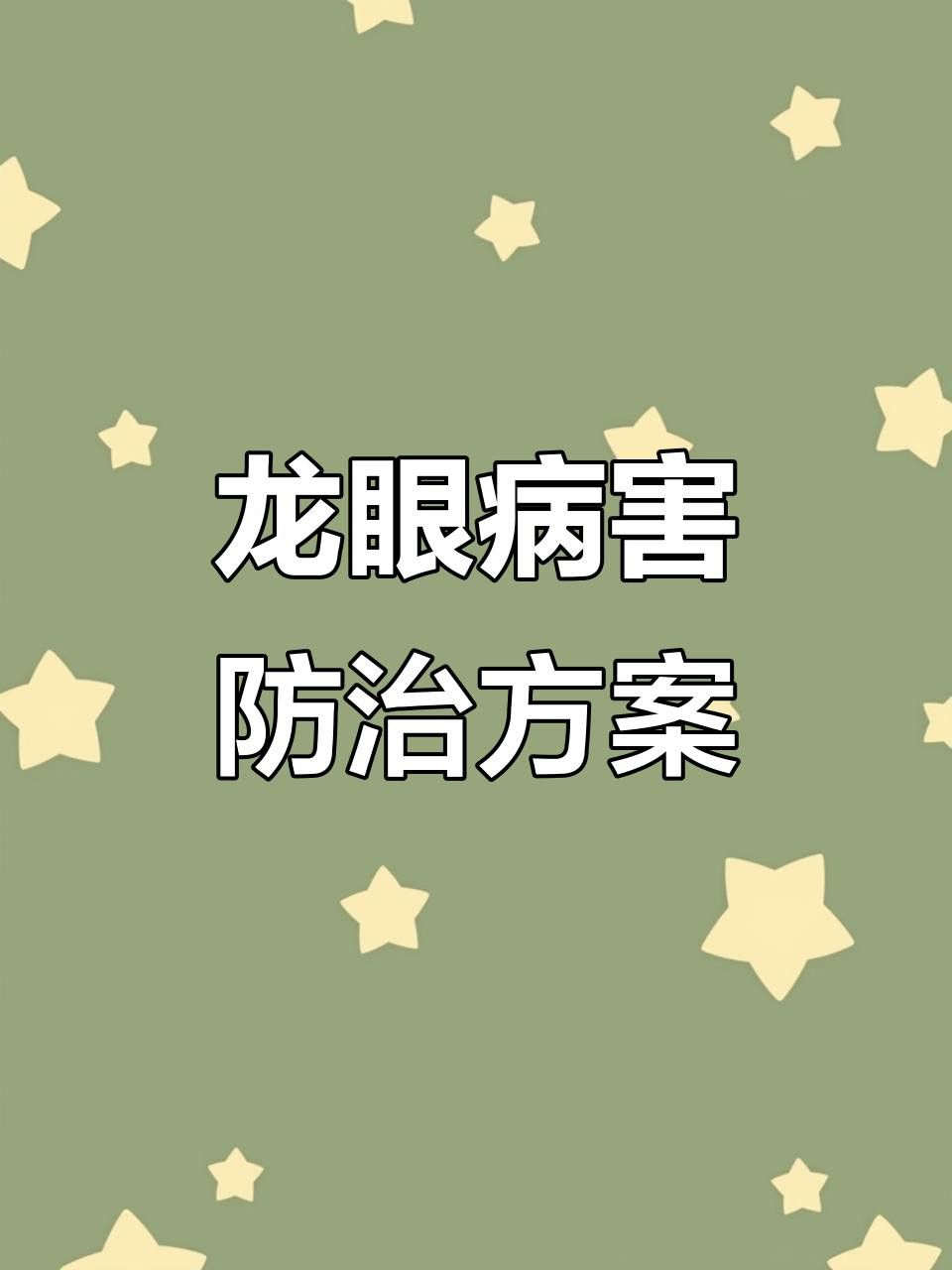 如何防治龍眼白霉病和藻斑病？
