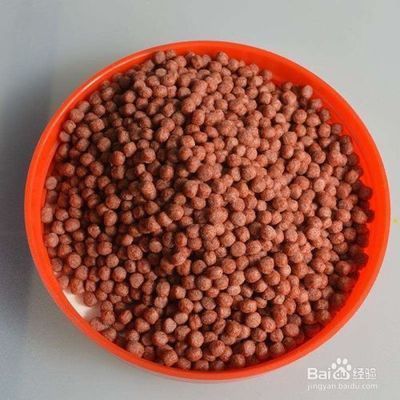 金三間魚飼料營養成分比較:金三間魚飼料自制方法