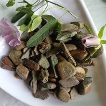 靈壽開水族店怎么樣？加盟祥龍魚場賣龍魚市場怎樣？