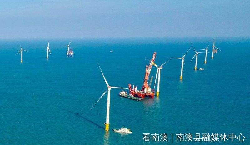 南澳開水族店怎么樣？加盟祥龍魚場賣龍魚市場怎樣？