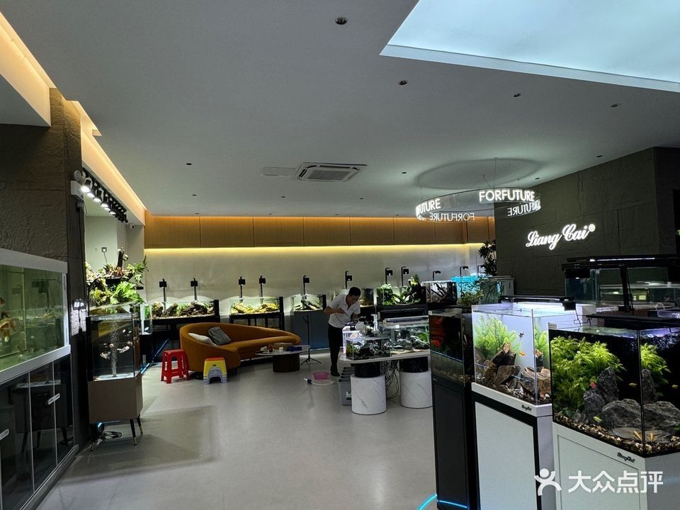 長(zhǎng)安開(kāi)水族店怎么樣？加盟祥龍魚(yú)場(chǎng)賣(mài)龍魚(yú)市場(chǎng)怎樣？