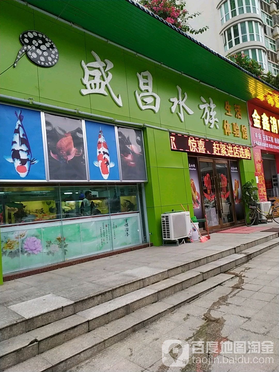 長(zhǎng)安開(kāi)水族店怎么樣？加盟祥龍魚(yú)場(chǎng)賣(mài)龍魚(yú)市場(chǎng)怎樣？