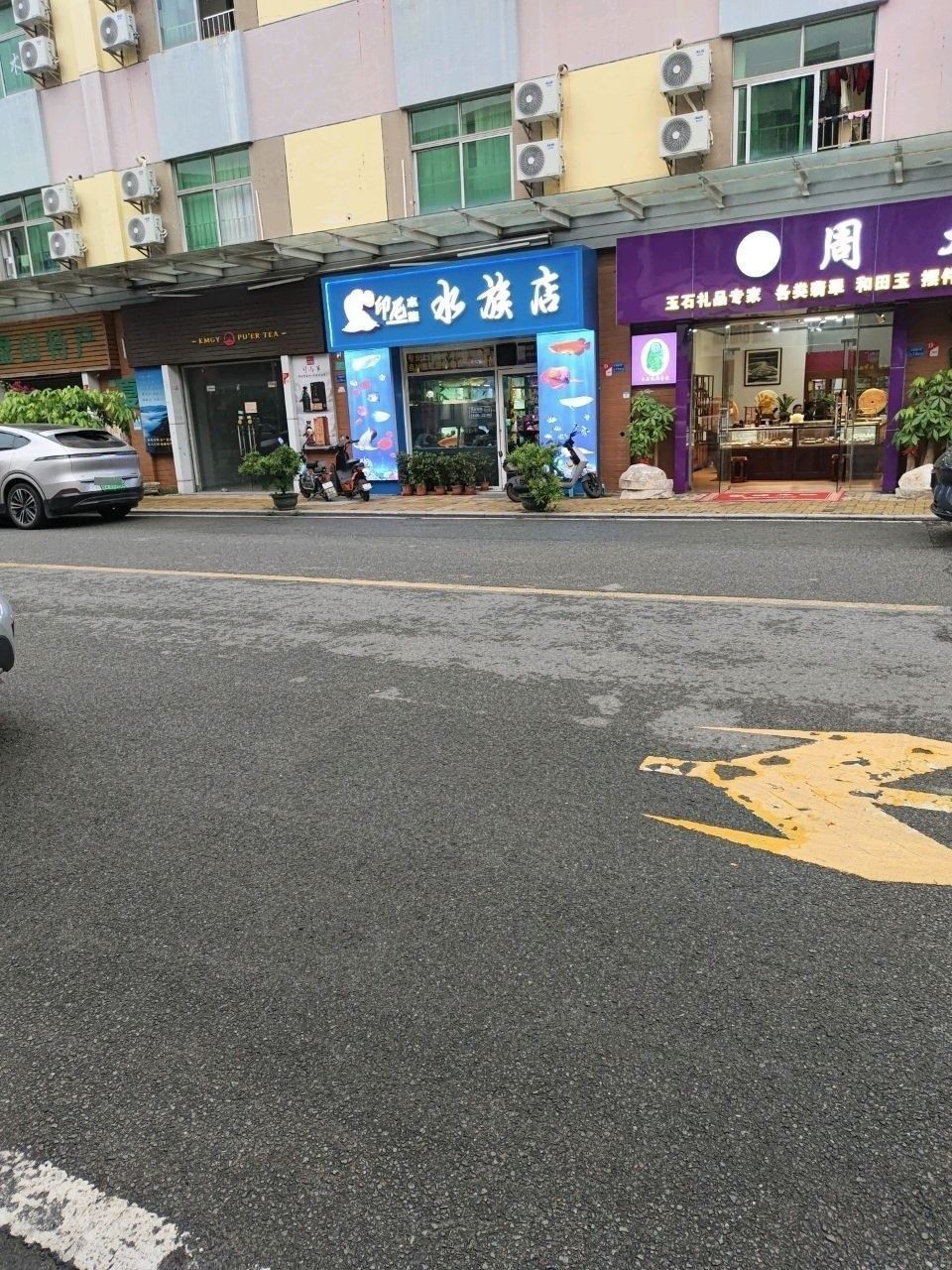 長(zhǎng)安開(kāi)水族店怎么樣？加盟祥龍魚(yú)場(chǎng)賣(mài)龍魚(yú)市場(chǎng)怎樣？