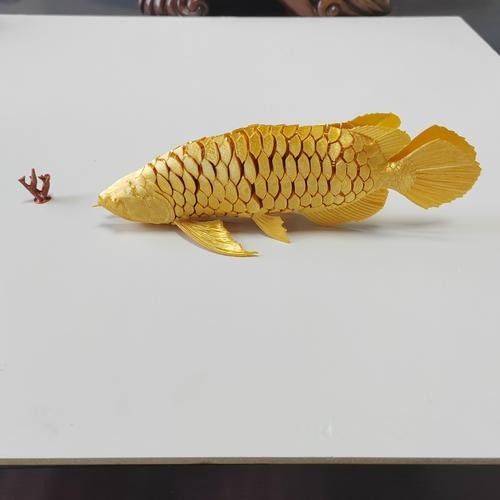 象州開(kāi)水族店怎么樣？加盟祥龍魚場(chǎng)賣龍魚市場(chǎng)怎樣？