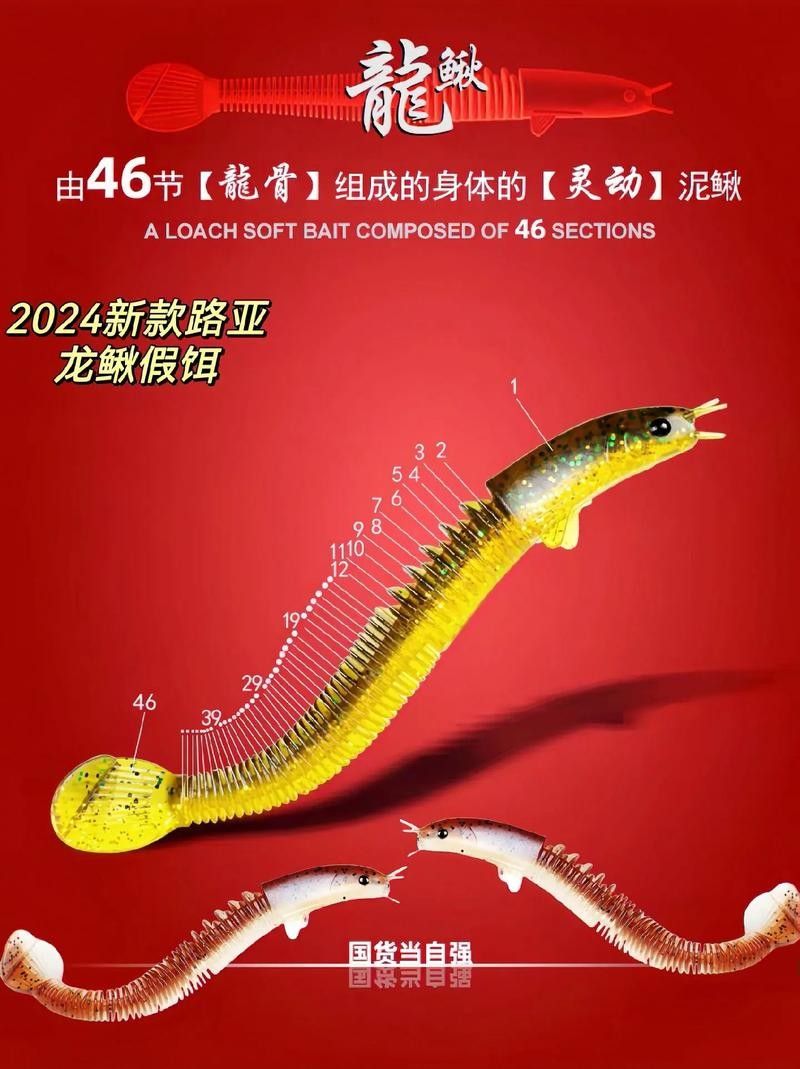 龍鰍的市場價格是多少？ 龍鰍的市場價格是多少？ 龍魚百科 第3張