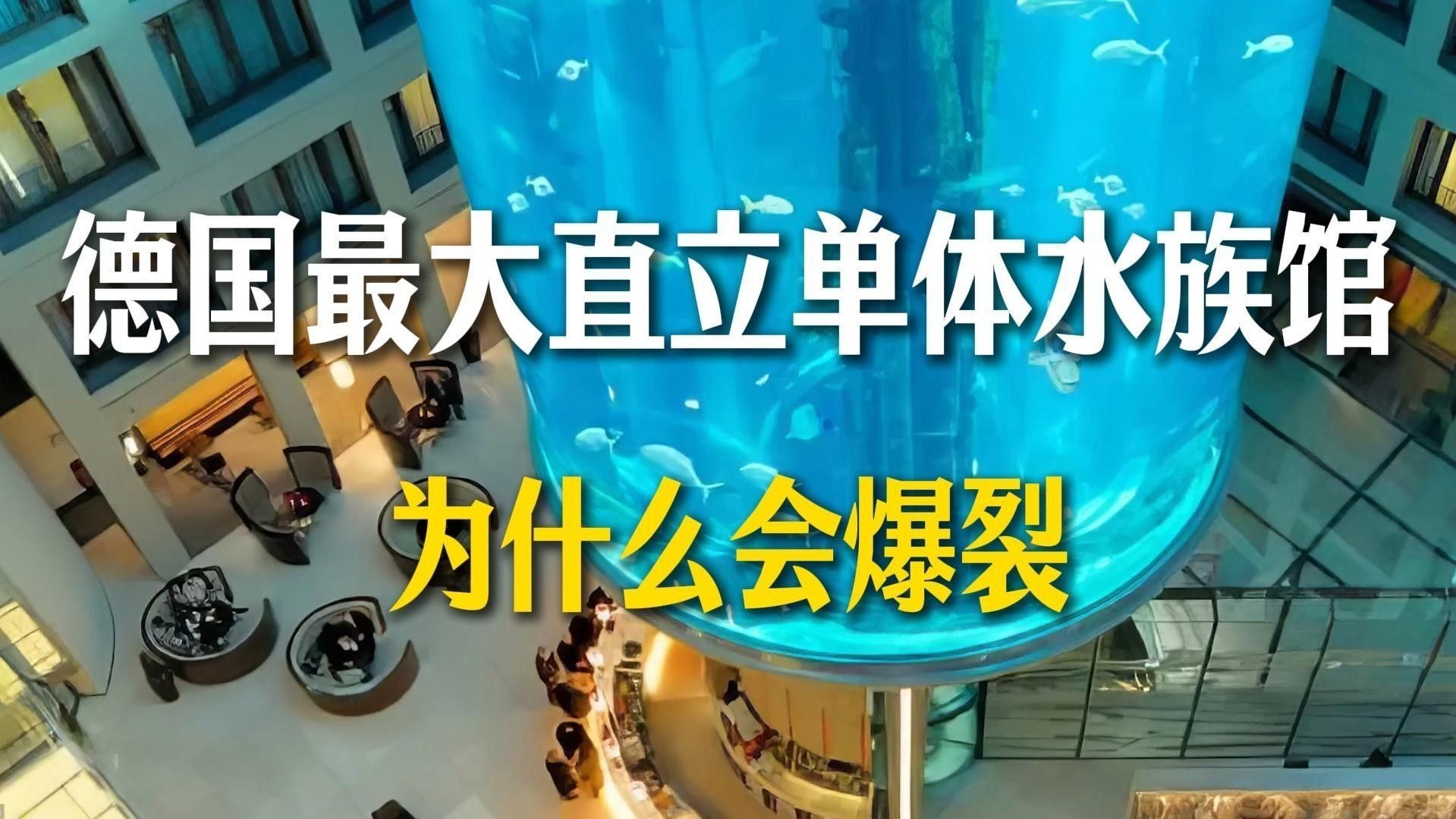 龍井開水族店怎么樣？加盟祥龍魚場賣龍魚市場怎樣？ 龍井開水族店怎么樣？加盟祥龍魚場賣龍魚市場怎樣？ 水族館百科（水族館加盟） 第9張