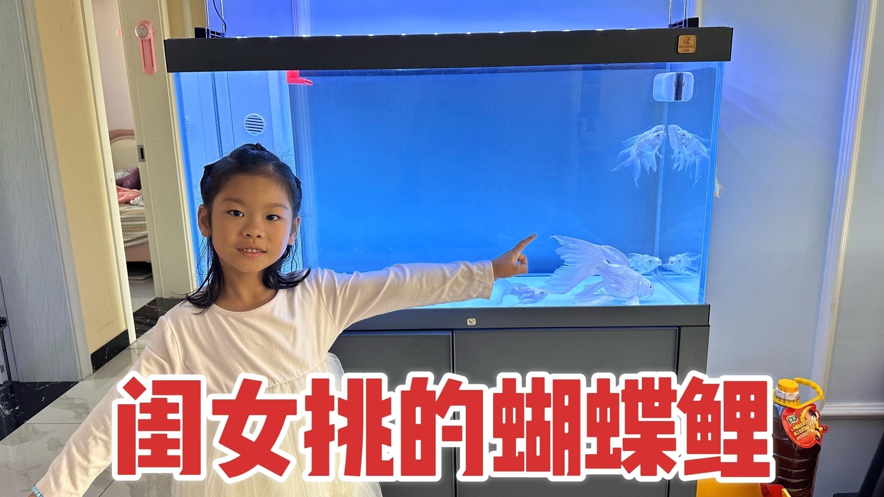 治多開水族店怎么樣？加盟祥龍魚場賣龍魚市場怎樣？