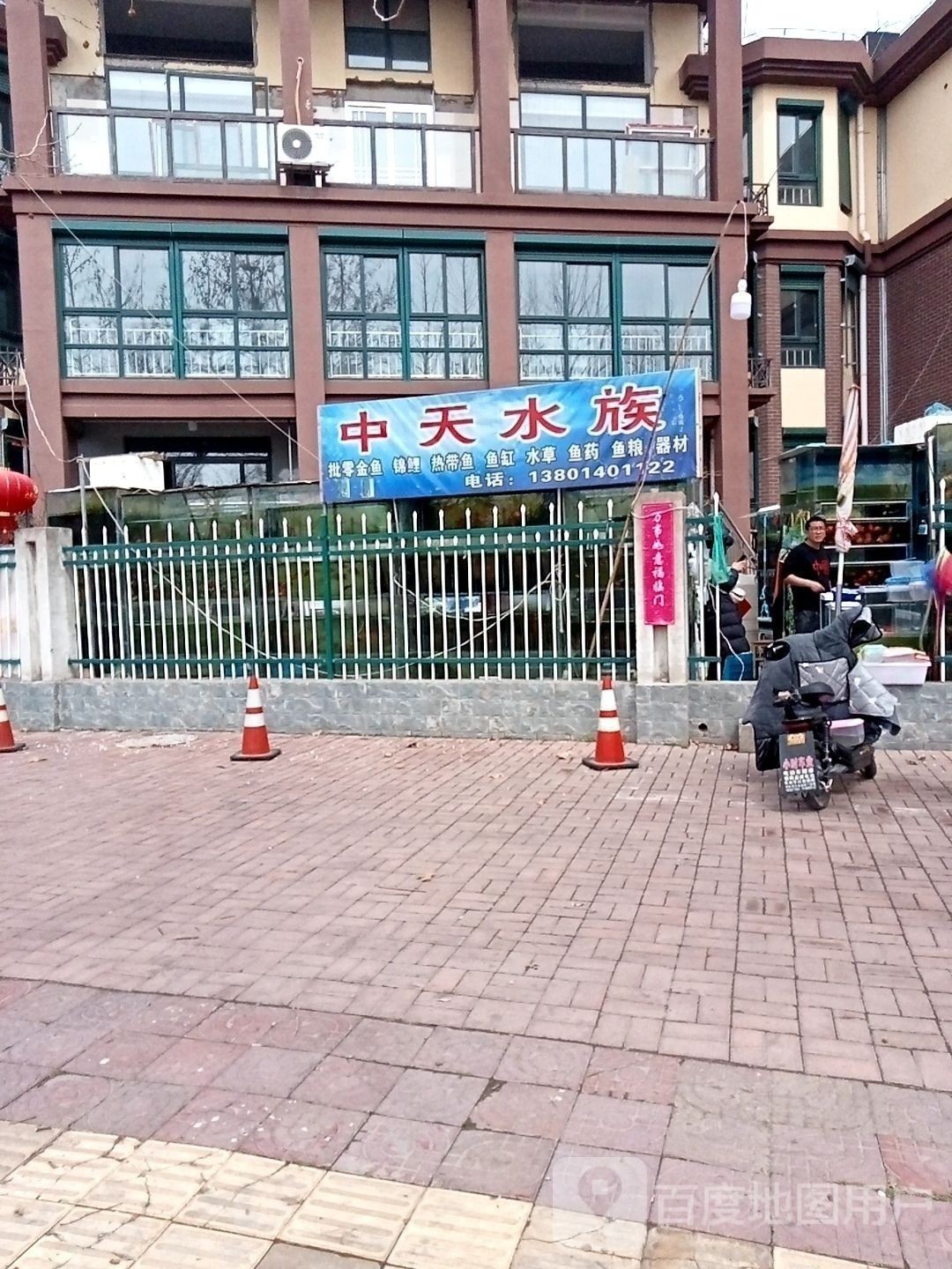 淮陰開水族店怎么樣？加盟祥龍魚場賣龍魚市場怎樣？