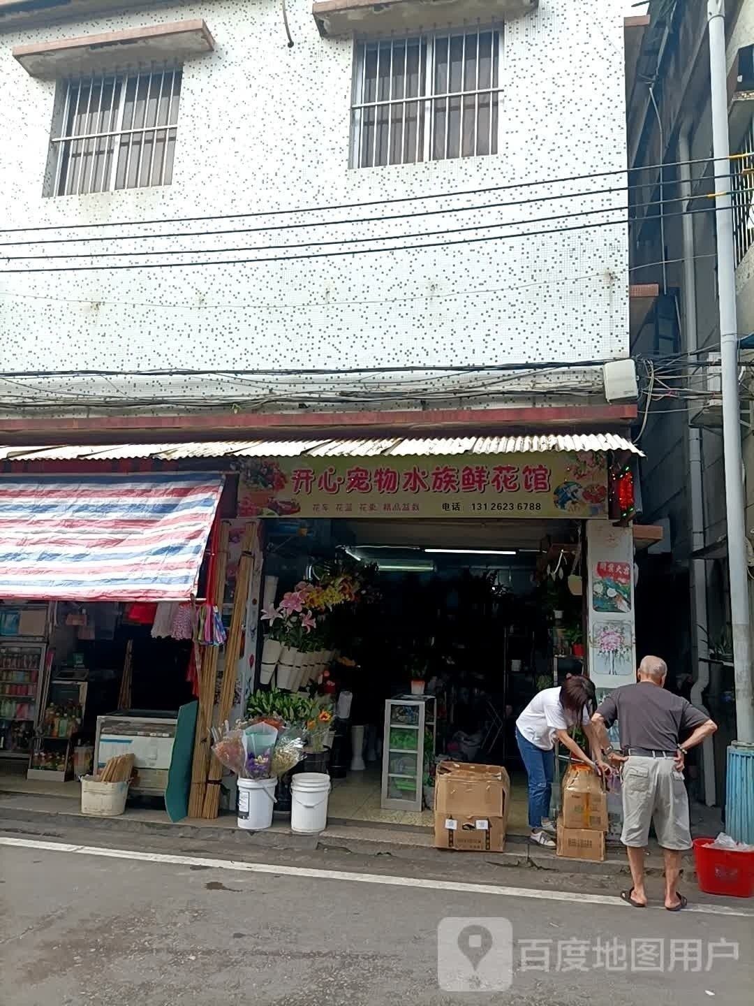 江門開水族店怎么樣？加盟祥龍魚場賣龍魚市場怎樣？ 江門開水族店怎么樣？加盟祥龍魚場賣龍魚市場怎樣？ 水族館百科（水族館加盟） 第3張