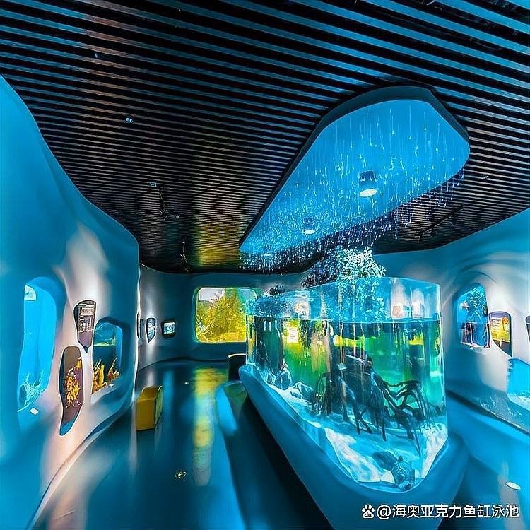 易門開水族店怎么樣？加盟祥龍魚場賣龍魚市場怎樣？