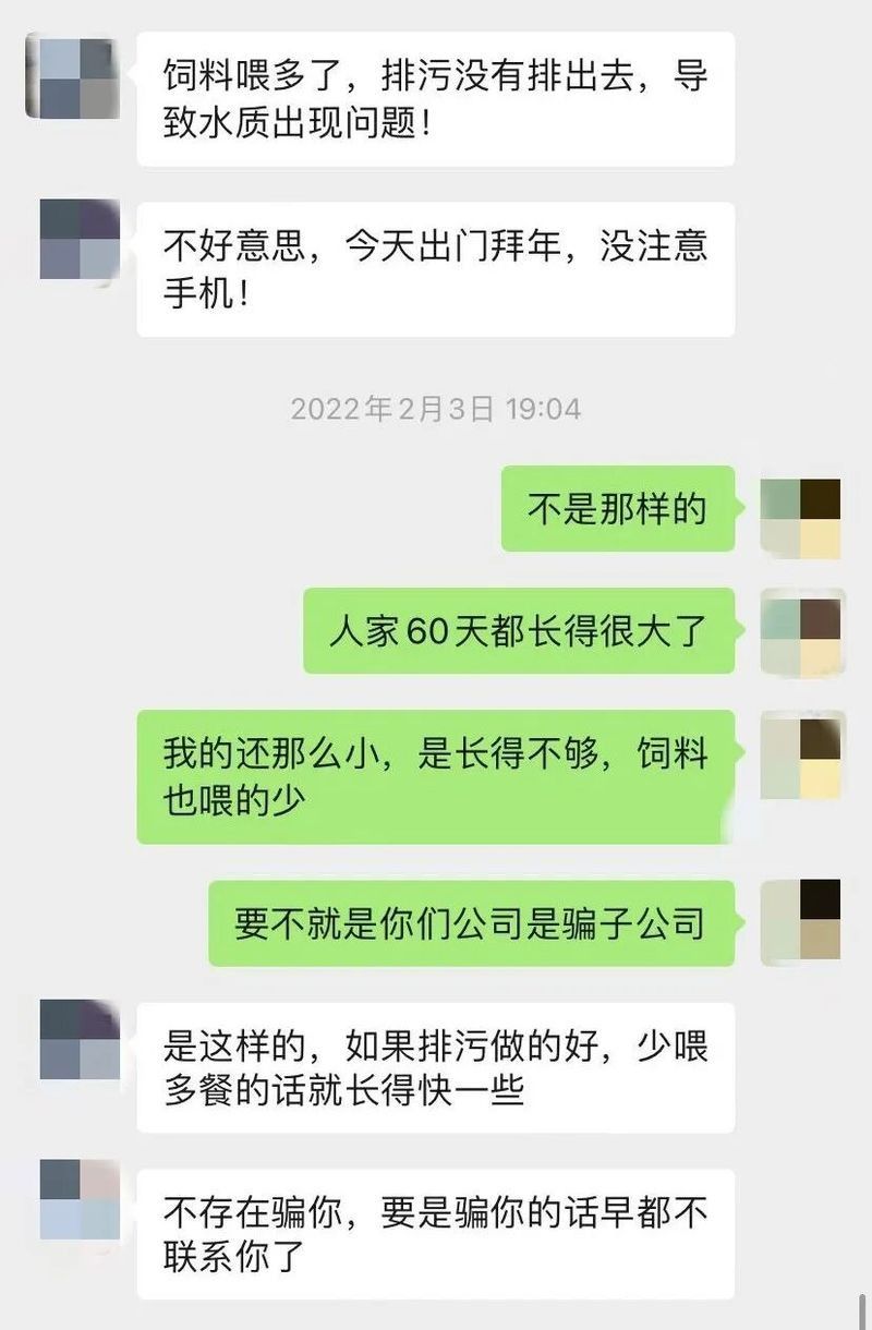 社旗開水族店怎么樣？加盟祥龍魚場賣龍魚市場怎樣？
