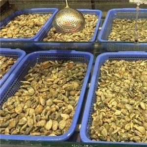 沙河口開水族店怎么樣？加盟祥龍魚場賣龍魚市場怎樣？