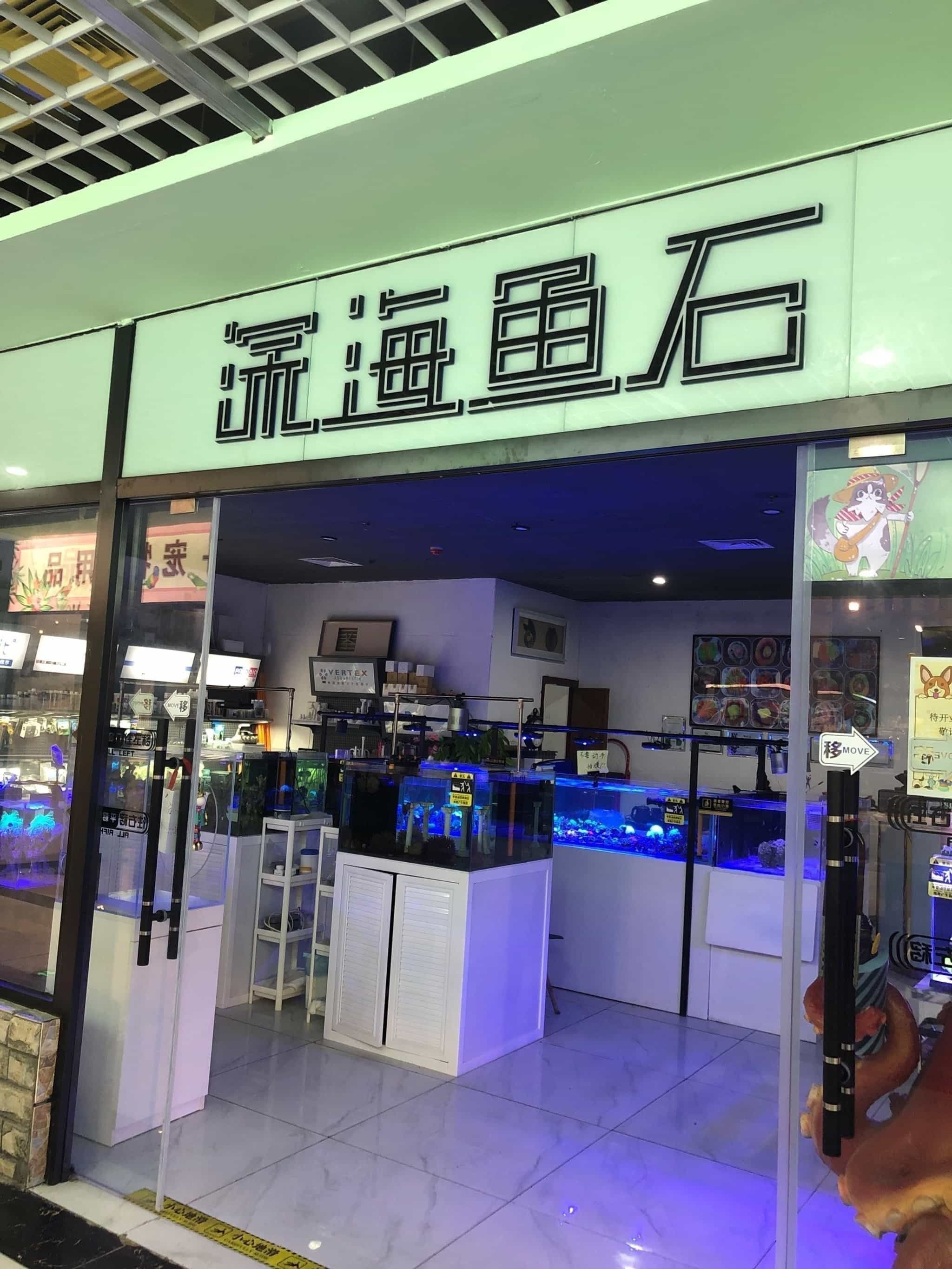 沙河口開水族店怎么樣？加盟祥龍魚場賣龍魚市場怎樣？