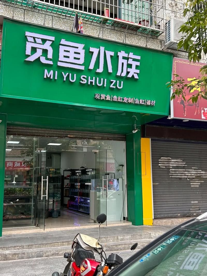 昆都侖開水族店怎么樣？加盟祥龍魚場賣龍魚市場怎樣？