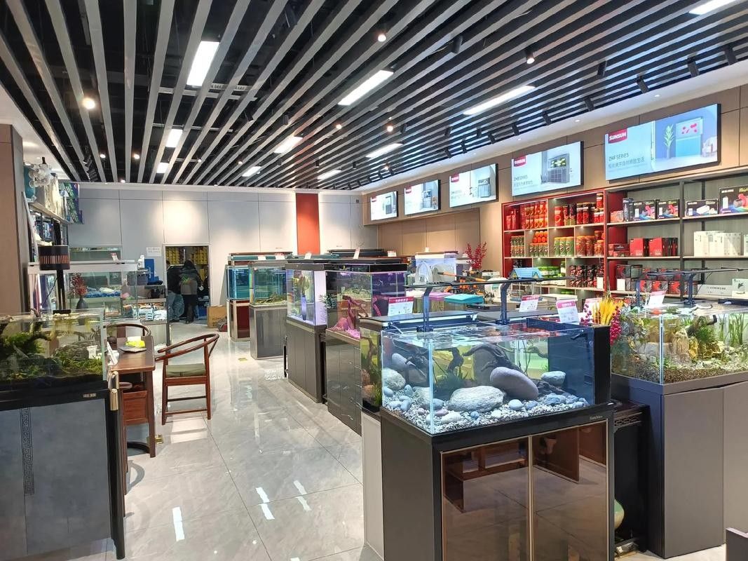 昆都侖開水族店怎么樣？加盟祥龍魚場賣龍魚市場怎樣？