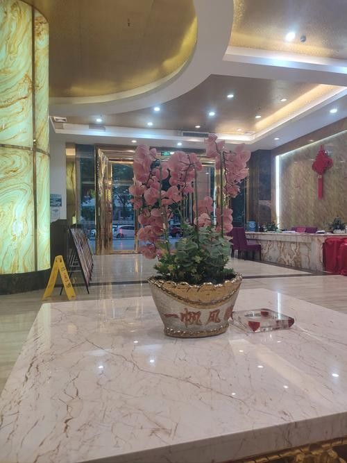 云城開水族店怎么樣？加盟祥龍魚場賣龍魚市場怎樣？