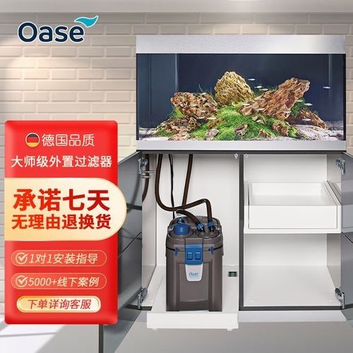 納雍開水族店怎么樣？加盟祥龍魚場賣龍魚市場怎樣？