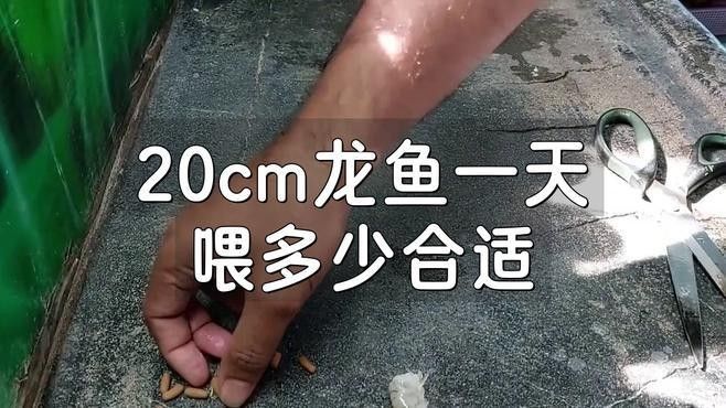 壽光開水族店怎么樣？加盟祥龍魚場賣龍魚市場怎樣？