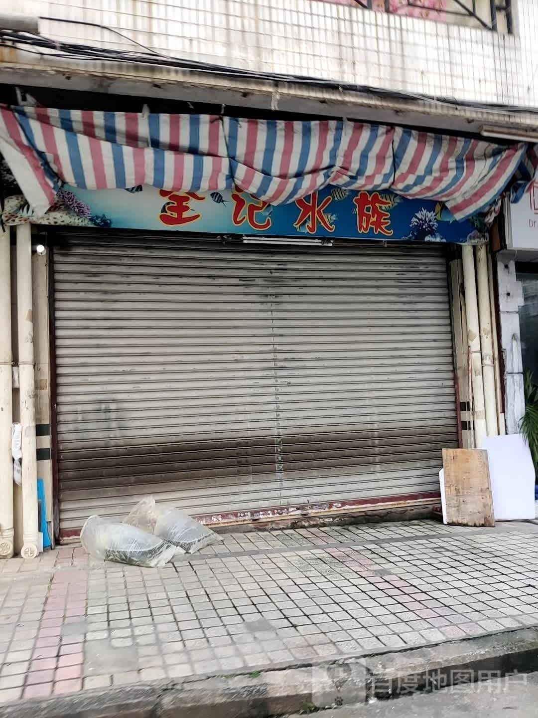 蓬江開水族店怎么樣？加盟祥龍魚場賣龍魚市場怎樣？