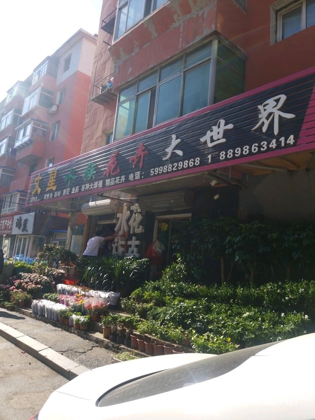 <strong><mark>于洪</mark></strong>開水族店怎么樣？加盟祥龍魚場賣龍魚市場怎樣？