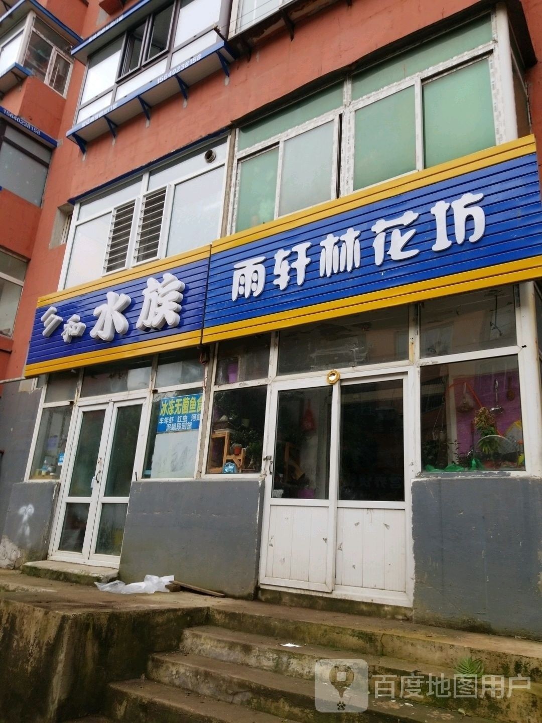 于洪開水族店怎么樣？加盟祥龍魚場賣龍魚市場怎樣？