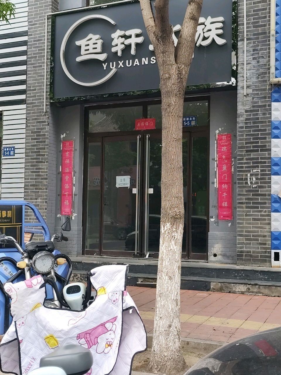 蔚縣開水族店怎么樣？加盟祥龍魚場賣龍魚市場怎樣？