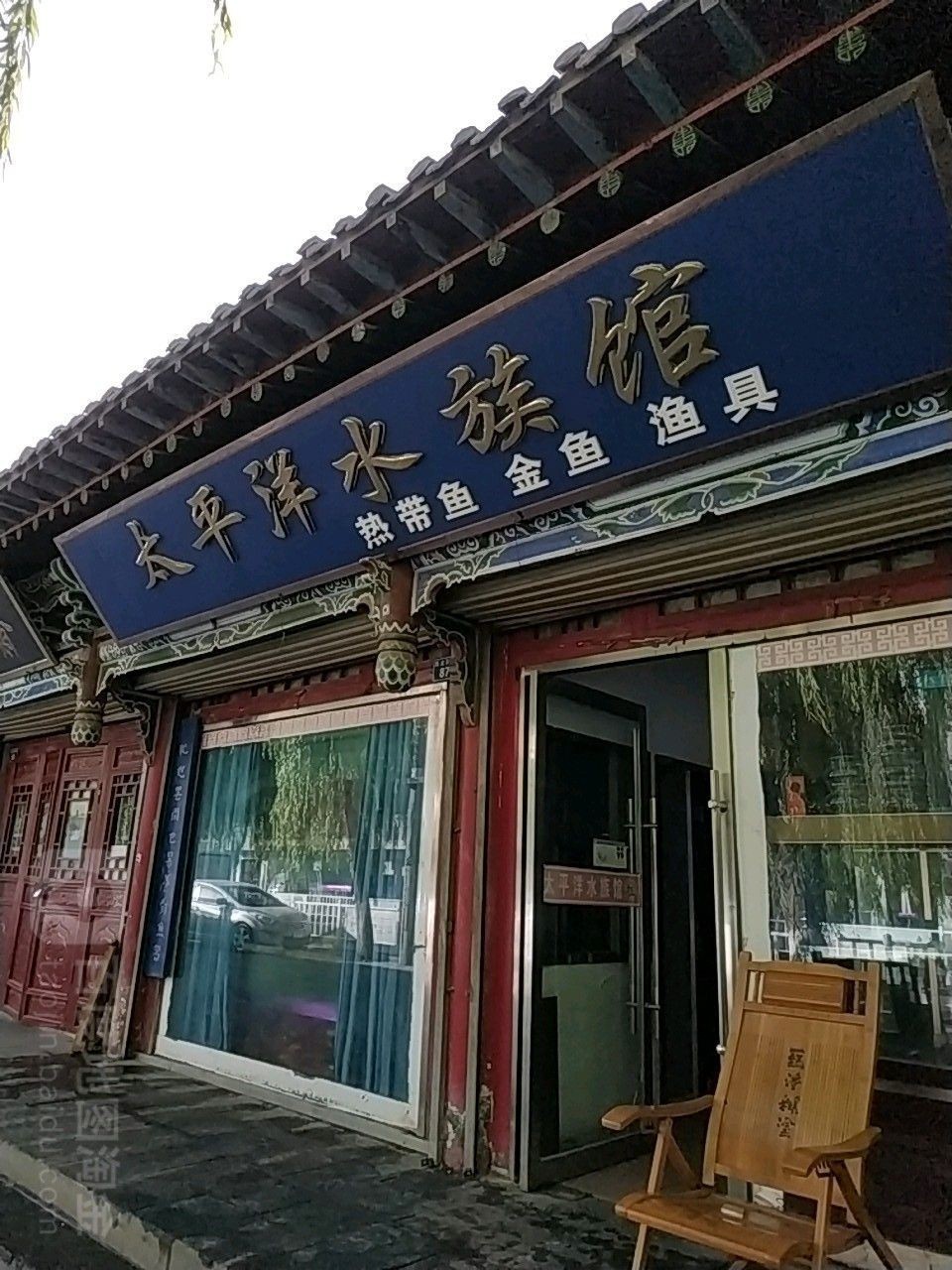 甘州開水族店怎么樣？加盟祥龍魚場賣龍魚市場怎樣？