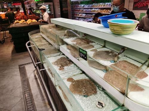 江夏開水族店怎么樣？加盟祥龍魚場賣龍魚市場怎樣？