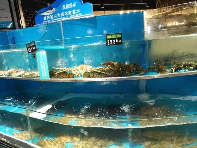 江夏開水族店怎么樣？加盟祥龍魚場賣龍魚市場怎樣？
