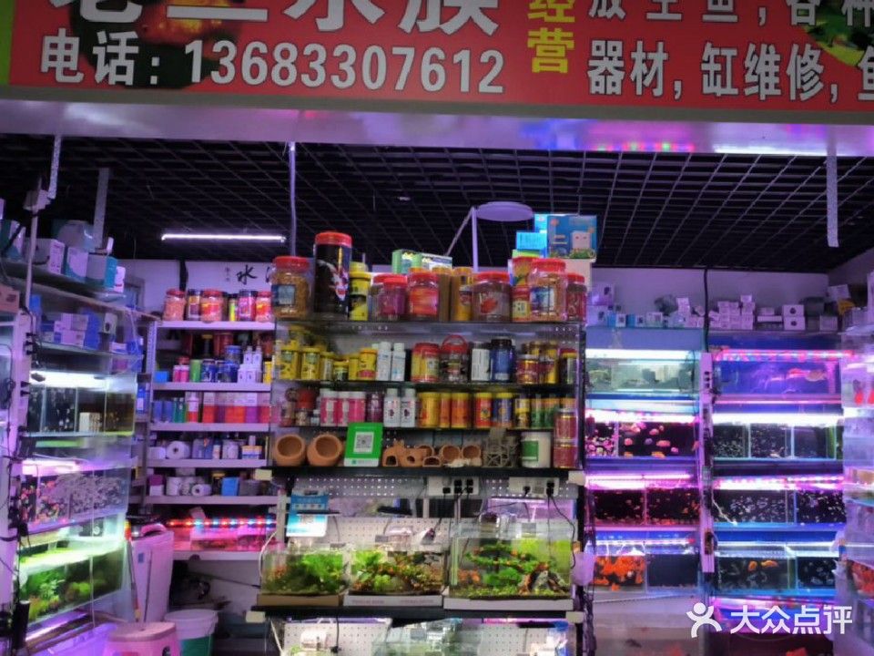 通州開水族店怎么樣？加盟祥龍魚場賣龍魚市場怎樣？