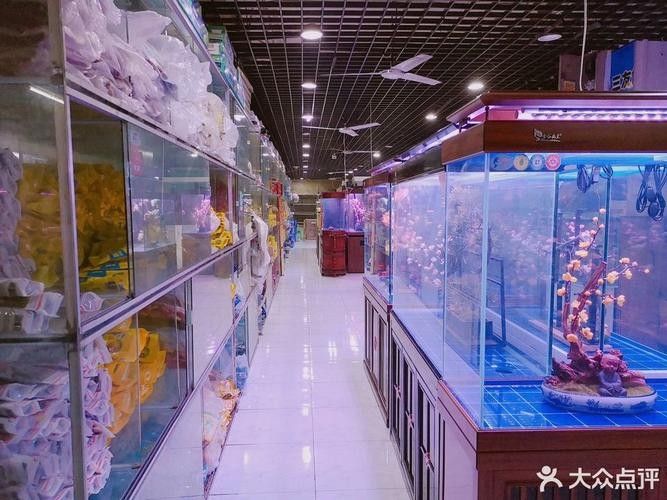 渝中開水族店怎么樣？加盟祥龍魚場賣龍魚市場怎樣？
