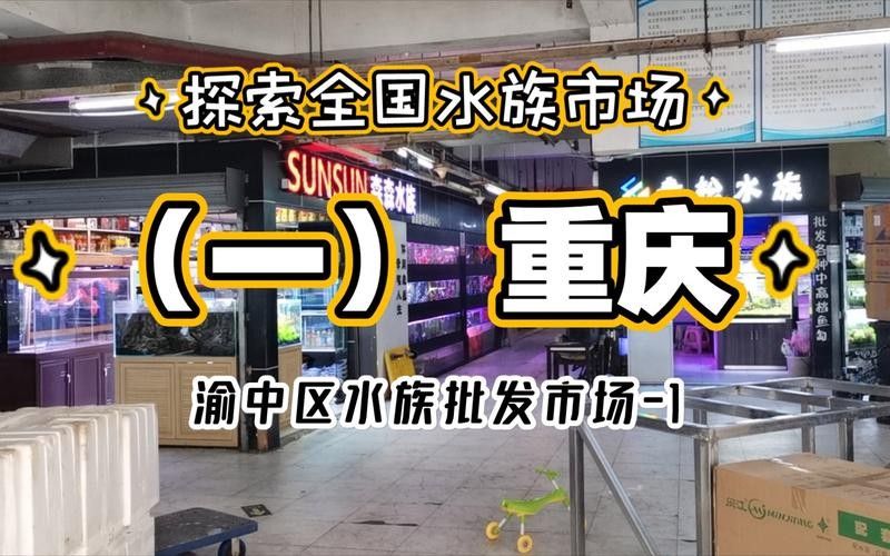 渝中開水族店怎么樣？加盟祥龍魚場賣龍魚市場怎樣？