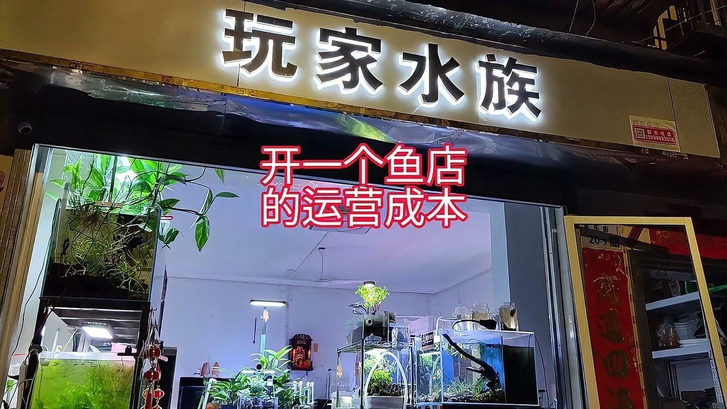霍邱開水族店怎么樣？加盟祥龍魚場(chǎng)賣龍魚市場(chǎng)怎樣？