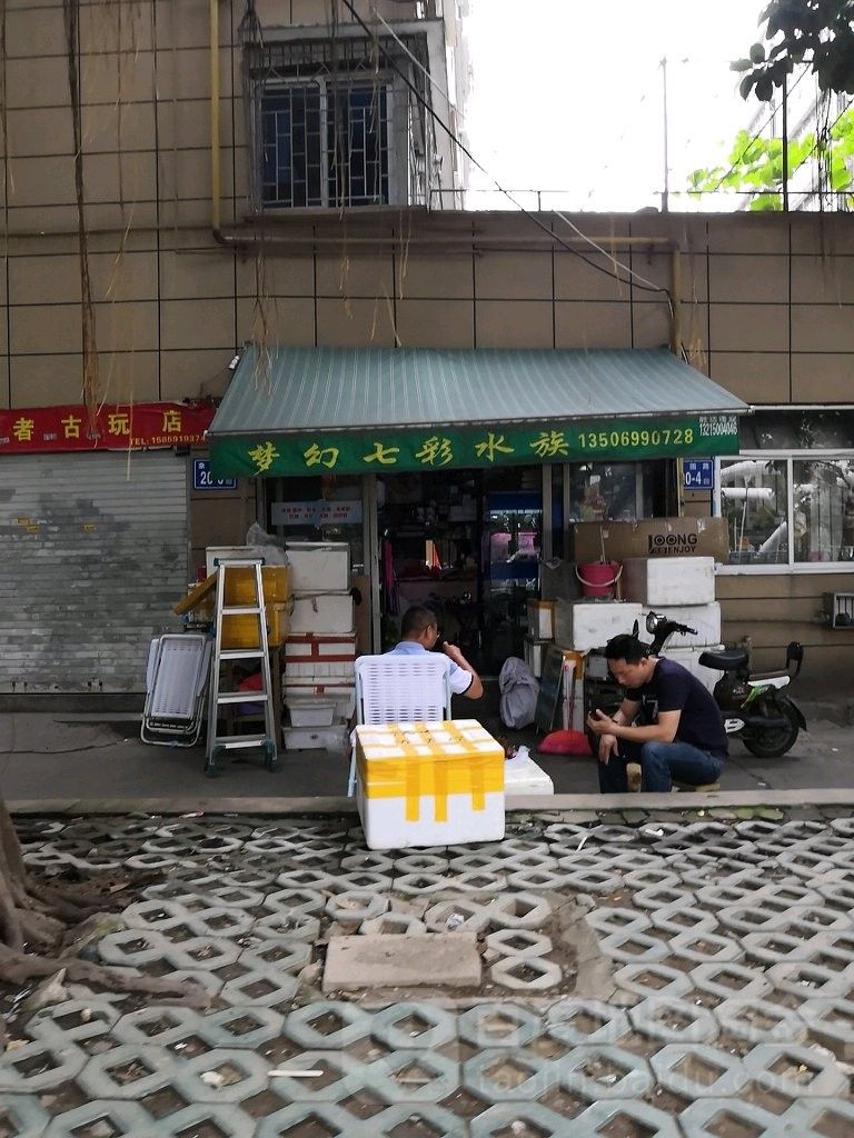 臺江開水族店怎么樣？加盟祥龍魚場賣龍魚市場怎樣？