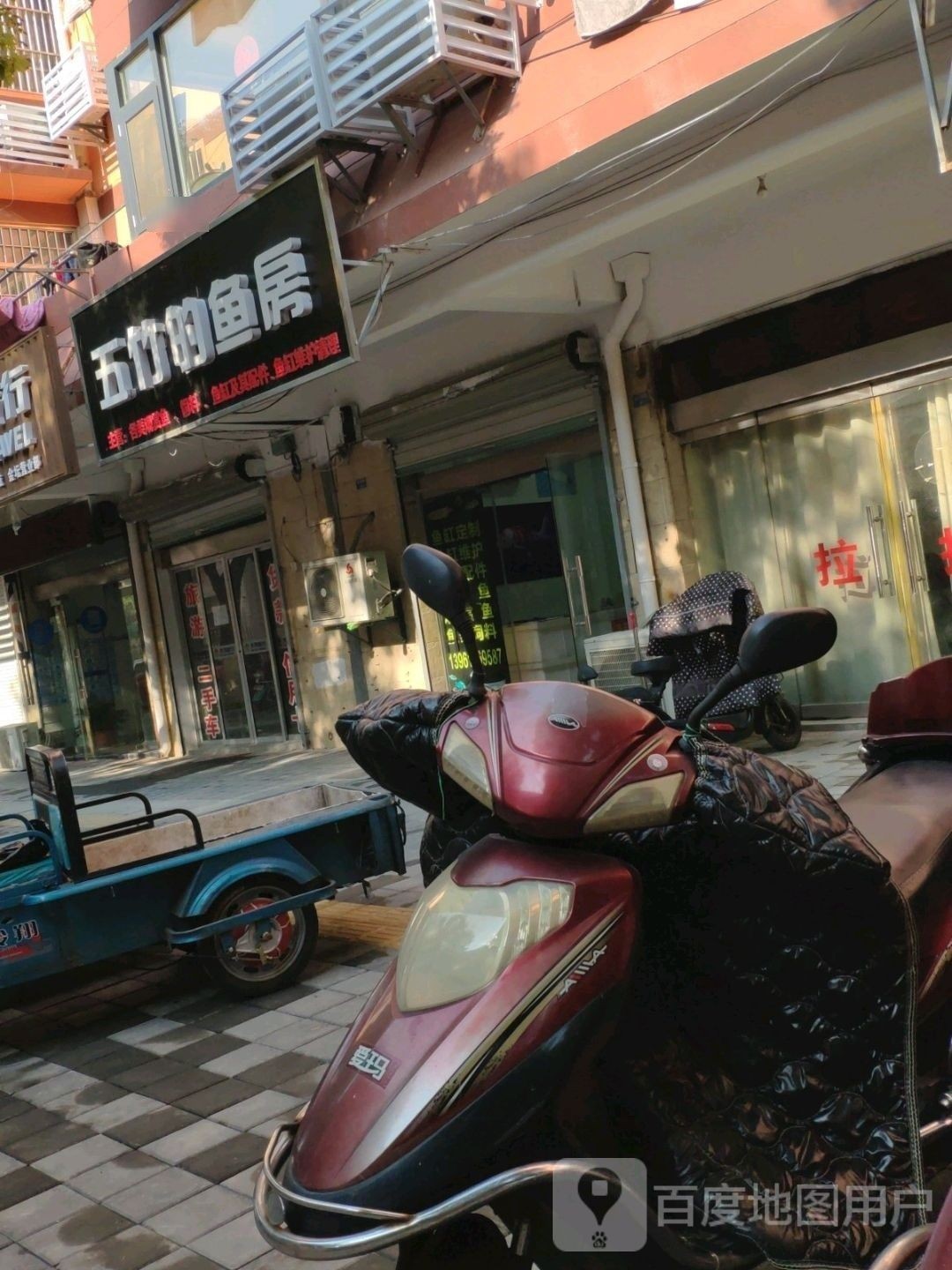 金壇開水族店怎么樣？加盟祥龍魚場賣龍魚市場怎樣？