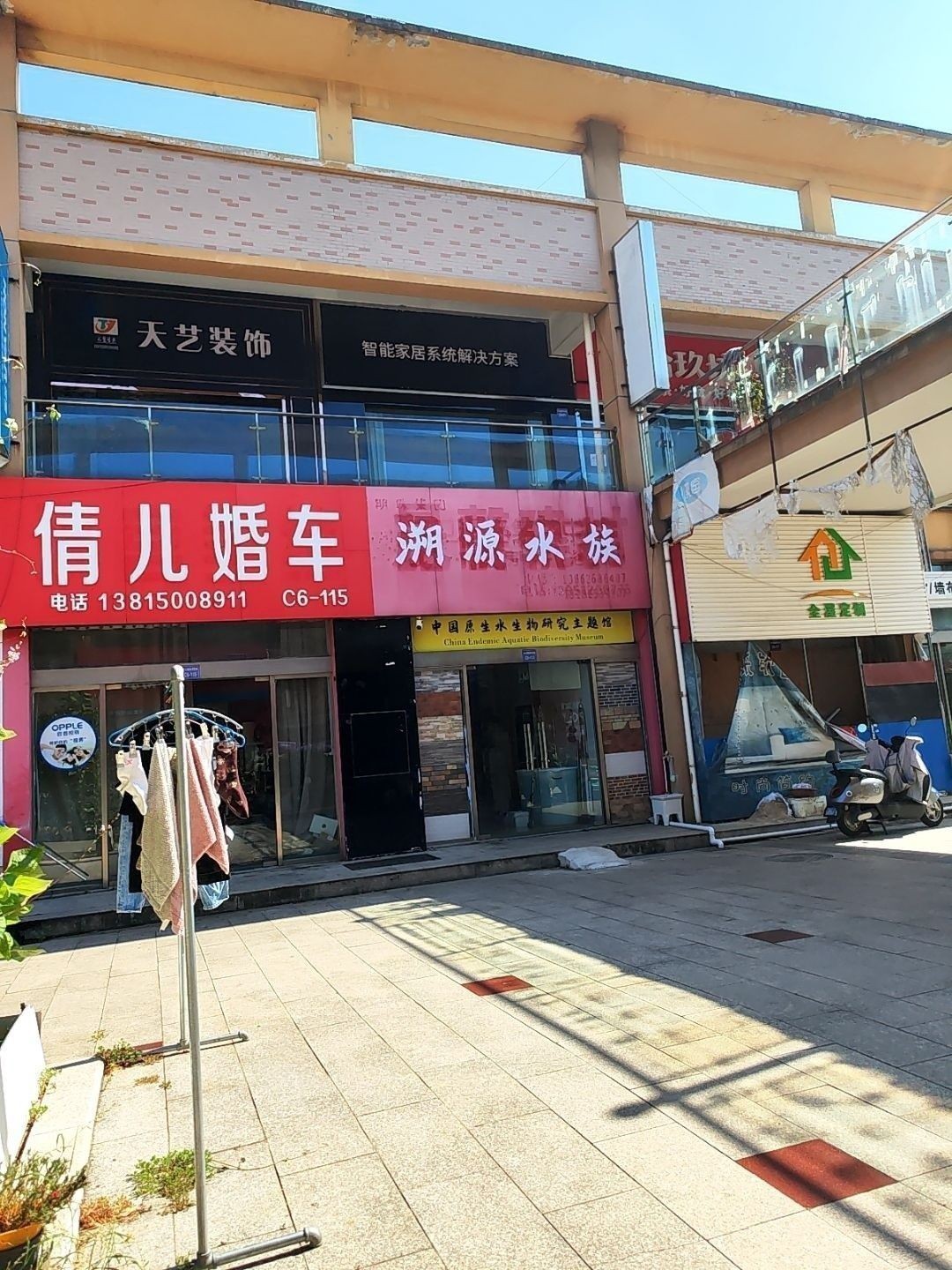金壇開水族店怎么樣？加盟祥龍魚場賣龍魚市場怎樣？