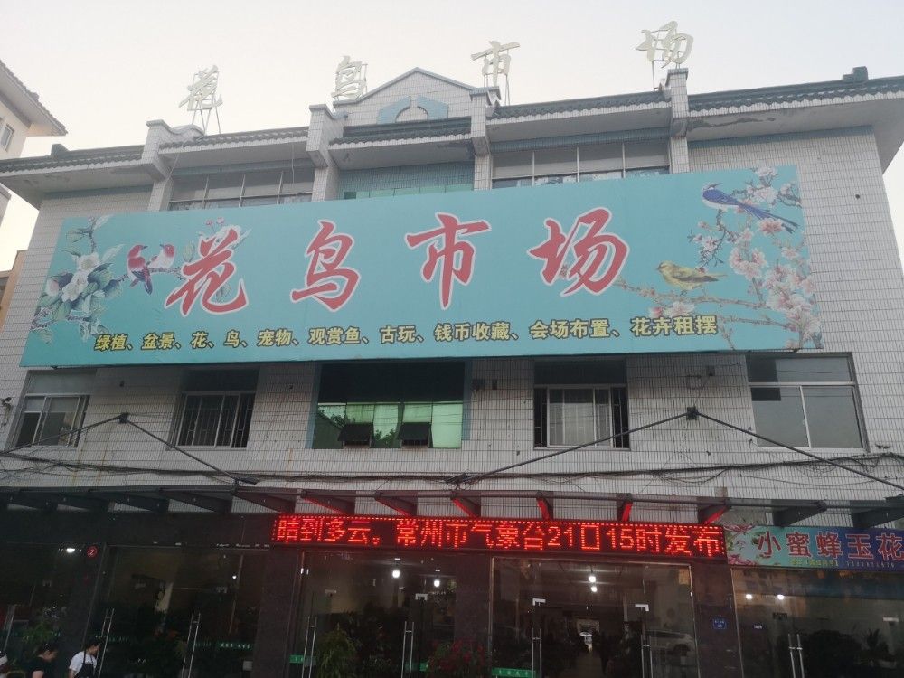 金壇開水族店怎么樣？加盟祥龍魚場賣龍魚市場怎樣？