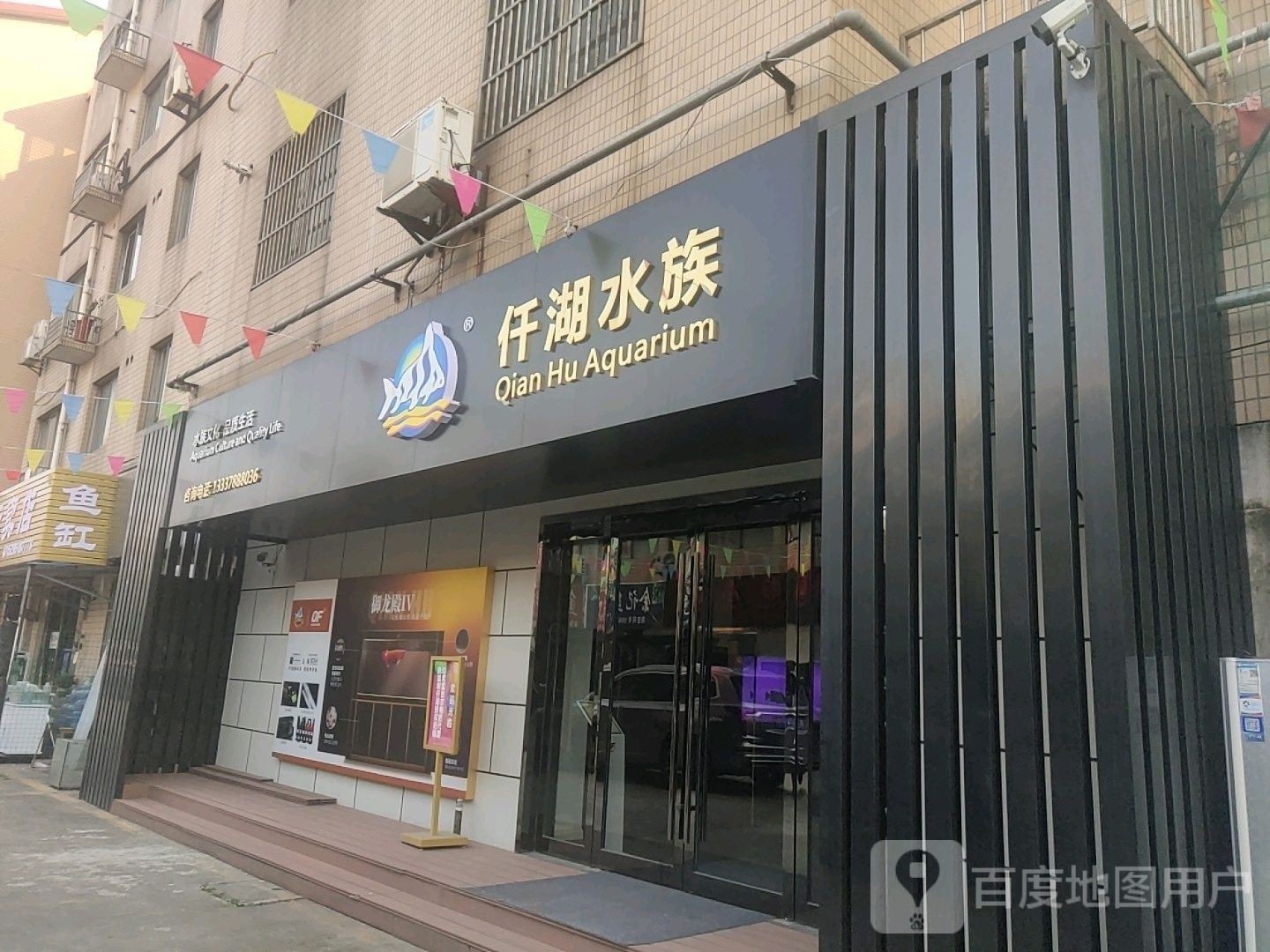 金壇開水族店怎么樣？加盟祥龍魚場賣龍魚市場怎樣？