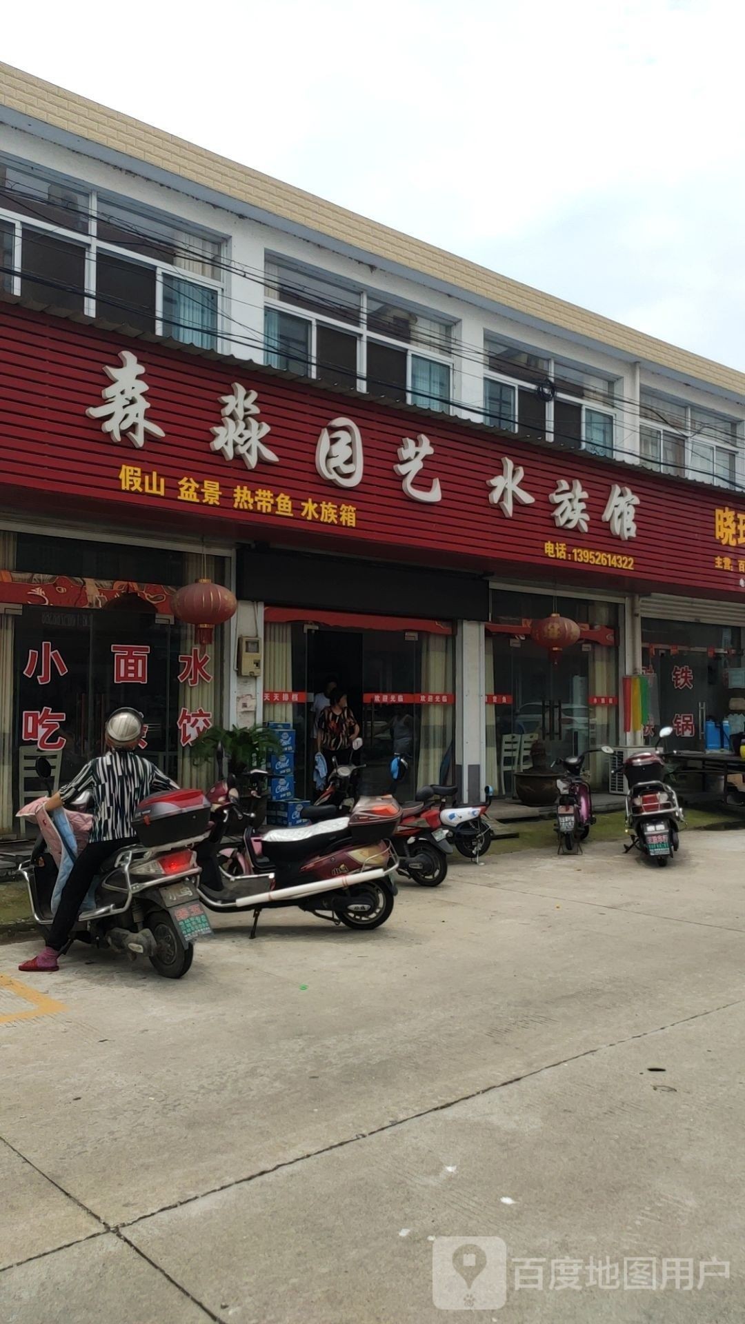 姜堰開水族店怎么樣？加盟祥龍魚場賣龍魚市場怎樣？
