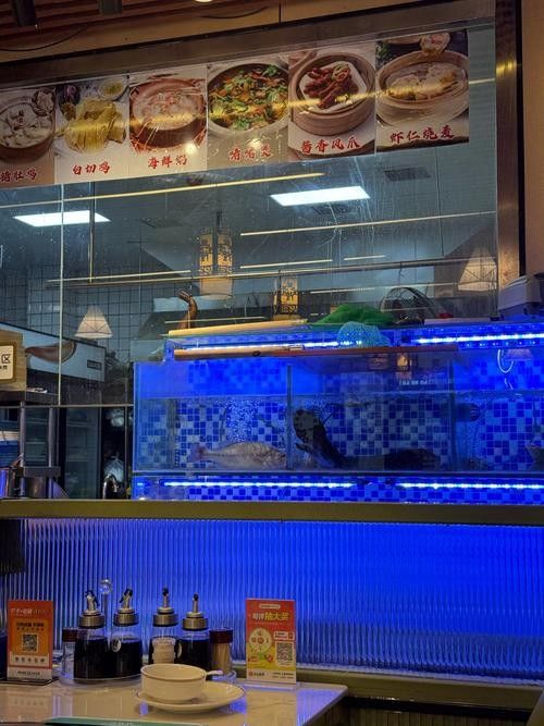 太仆寺開水族店怎么樣？加盟祥龍魚場賣龍魚市場怎樣？